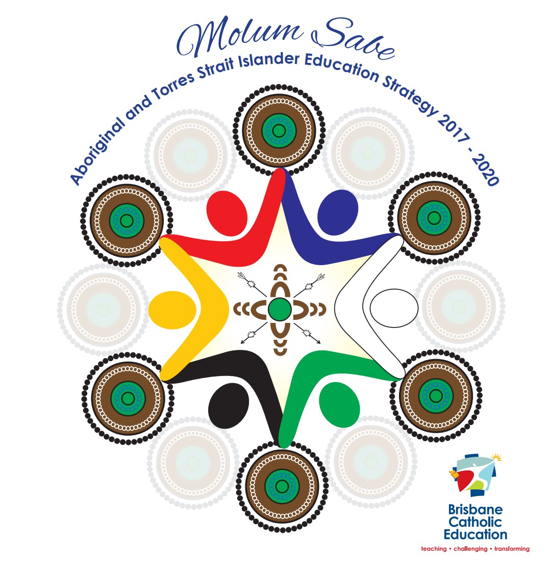 NATIONAL ABORIGINAL AND TORRES STRAIT ISLANDER EDUCATION STRATEGY 2015 UPDATED 2020 visual data 8